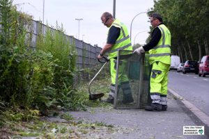 Die Beseitigung von Wildkräutern an den Straßenrändern wird nicht durch die Straßenreinigungsgebühren abgedeckt. 