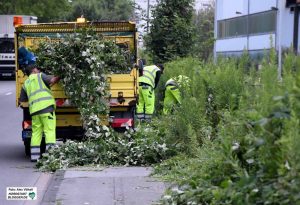 Bislang wurden die Straßenränder stiefmütterlich behandelt - für die Beseitigung des Wildwuchses gab es weder Personal noch Mittel. 