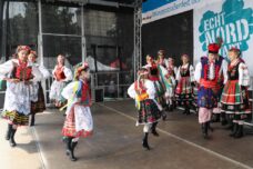 do-Münsterstraßenfest