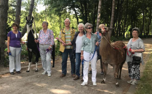 Sehr gut an kam der Besuch auf einer Lama-Farm, den die Alzheimer-Gesellschaft organisiert hatte. Foto: Verein