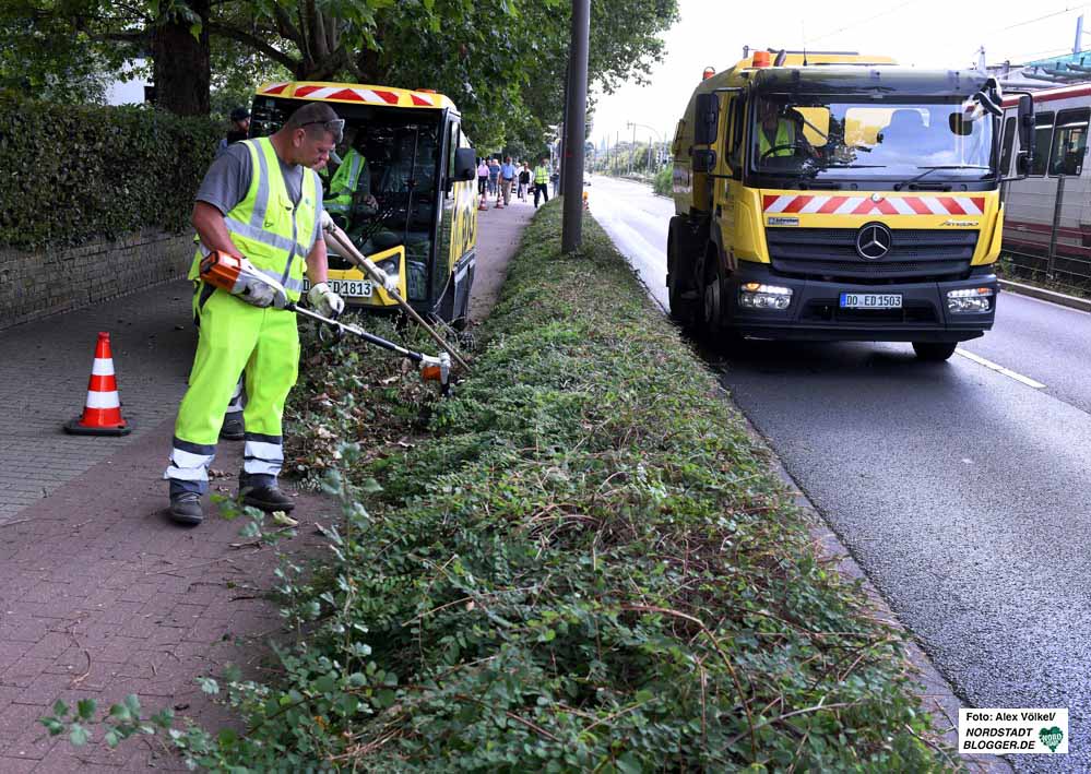 Die EDG hat in diesem Jahr die Pflege des Straßenbegleitgrüns vom Tiefbauamt übernommen.