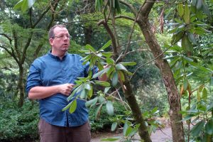 Dr. Patrick Knopf, Direktor Botanischer Garten Rombergpark, präsentiert die Dortmunder Zukunftsbäume. Foto: Thomas Engel