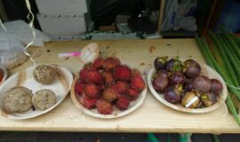 Tamilisches_Straßenfest_Früchte