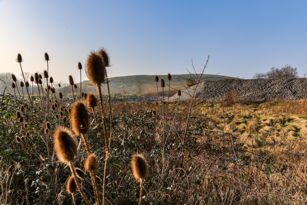 Die zwischenzeitlich als Industriedeponie genutzte Halde Schleswig ist renaturiert. Foto: Schaper