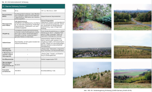 Datenblatt zur Halde Schleswig aus der RVR-Studie.