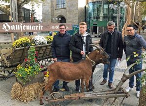 Freuen sich auf den Hansemarkt vom 30. Oktober bis 3. November: Patrick Arens, Frank Schulz und Foad Boulakhrif mit einem jungen „Ziegenbändiger“. Foto: Joachim vom Brocke