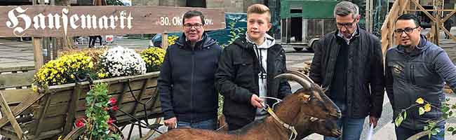 Freuen sich auf den Hansemarkt vom 30. Oktober bis 3. November: Patrick Arens, Frank Schulz und Foad Boulakhrif mit einem jungen „Ziegenbändiger“. Foto: Joachim vom Brocke