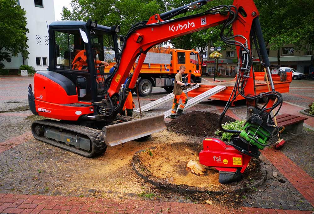 Stadt-Dortmund_Gruenflaechenamt_Tote-Baeume-Hombruch