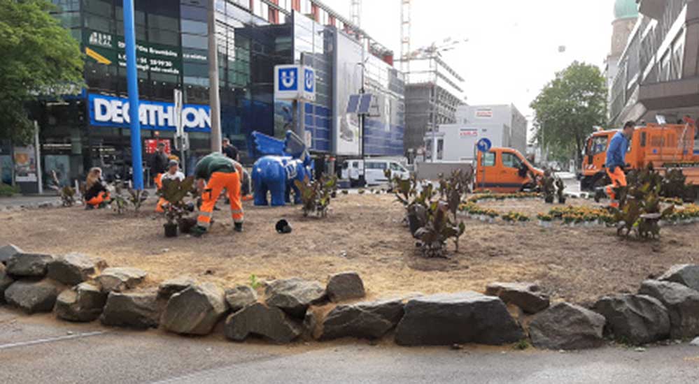 Stadt-Dortmund_Gruenflaechenamt_Wechselbeete-Mai-2020