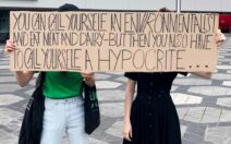 NSB - FridaysForFuture - Julian Ronneburger-IMG_4783