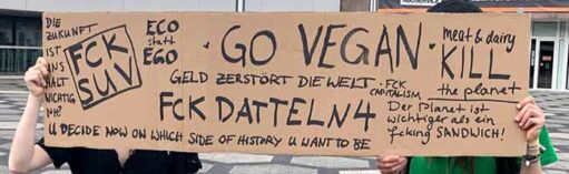 NSB - FridaysForFuture - Julian Ronneburger-IMG_4785