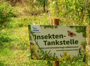 Blühwiese im NABU-Insektengarten Dortmund