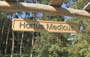 Hortus Medicus heißt der völlig neu gestaltete Heilkräutergarten im Botanischen Garten Rombergpark