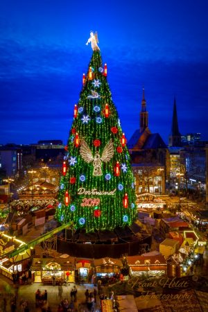 Anfang Oktober wird final entscheiden, ob der Baum aufgebaut wird. Foto: Frank Heldt