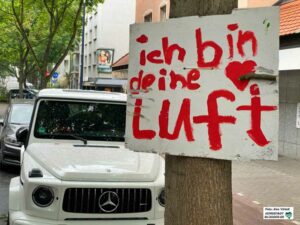 Umweltprotest: Ein Umdenken mahnt dieses Schild an - angebracht an einem für das Mikroklima wichtigen Baum in der Innenstadt.