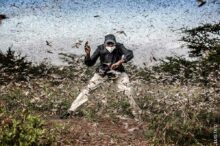 World-Press-Photo-of-the-Year-Nominee_Online_Luis-Tato