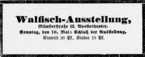 Werbeinserat (Dortmunder Zeitung, 10.05.1896)