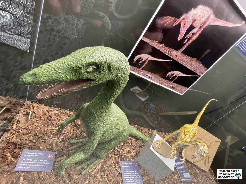 Saurier-Ausstellung im Naturmuseum. Foto: Alex Völkel