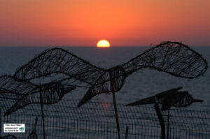 Sonnenuntergang in Netanya - davor eine Kunstinstallation mit Friedenstauben. Foto: Alex Völkel