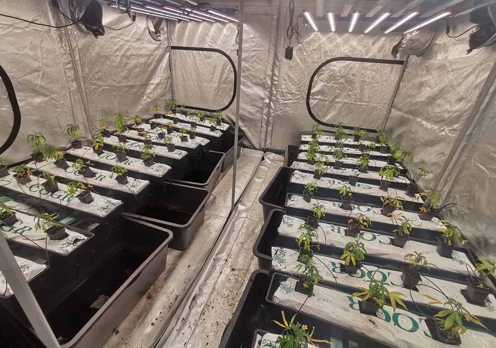 Auch sieben sogenannte Grow-Zelte waren in den Mehrfamilienhaus aufgebaut. Fotos: Polizei
