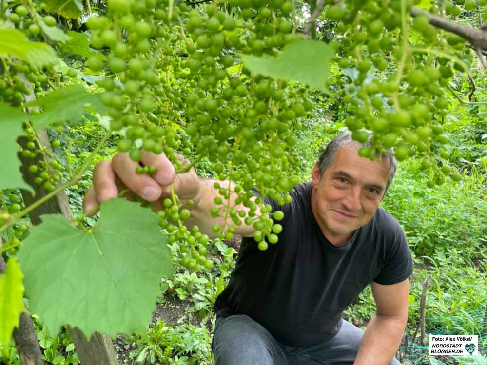 Askin Dündar würde nur ungern seinen Garten verlassen.