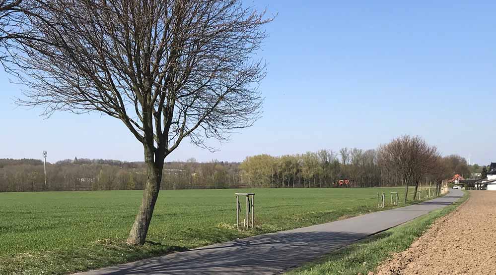 Reihenweise würden beispielsweise in der Dürener Dorfstraße Jungbäume zerstört. (Archivbilder)