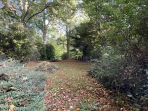 am Westrand des Feldes 2 des Hauptfriedhofs Rennweg