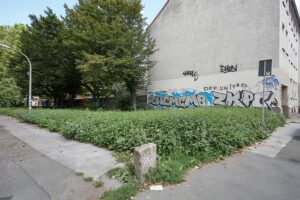 Noch gar nichts zu sehen von einem Garten für „7000 Schmetterlinge“: nur mit Brennnesseln überwucherte Stadtbrache vor Arbeitsbeginn...Eine Brennnessel-überwucherte Stadtbrache: Vor Arbeitsbeginn für den Garten 7000 Schmetterlinge