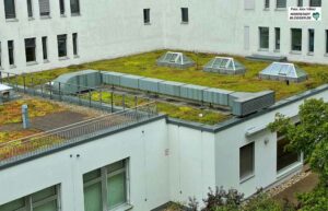 Ungenutzte Dachflächen soll es nicht mehr geben - Dachbegrünung oder Photovoltaik sollen flächendeckend kommen.