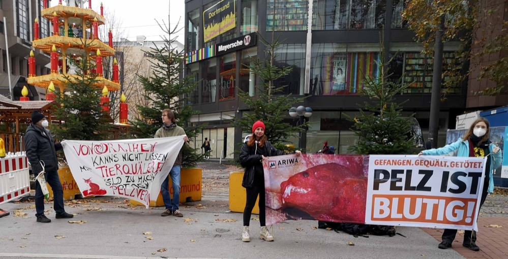 Tierleid ist untragbar – darauf hat Animal Rights Watch e.V. (ARIWA in acht Städten Deutschlands aufmerksam gemacht. Zahlreiche Aktivist*innen demonstrierten zeitgleich vor den acht Filialen des Modehauses „von Drathen“, das stellvertretend für die gesamte Bekleidungsindustrie steht, die Tierqualprodukte wie Pelz, Leder, Wolle, Seide und Daunen verkauft. Auch vor dem Dortmunder Geschäft an der Kampstraße versammelten sich Tierrechtler*innen, um mit Bannern, Schildern und Infoflyern ein Zeichen zu setzen. Dabei kam zu Gesprächen mit Passant*innen, die empört über die Ausbeutung der Tiere waren. Einige zeigten sich überrascht, dass es sich bei Pelz und Leder häufig nicht um Abfallprodukte handelt, sondern dass Tiere wie Füchse, Nerze, Kaninchen sowie Hunde und Katzen extra dafür gezüchtet und getötet werden. Laut ARIWA lassen jährlich bis zu 140 Millionen Tiere ihr Leben in der weltweiten Pelzproduktion. Dabei sterben für einen einzigen Pelzmantel ca. 60 Nerze oder 200 Chinchillas. Auch ein deklarierter Kunstpelz garantiert nicht, dass keine Tiere dafür gestorben sind. Echter Pelz, der zum Beispiel in China produziert wird, ist so günstig, dass viele Hersteller*innen ihn – selbst auf Nachfrage – als Kunstpelz verkaufen. Daher ist auch Kunstpelz nicht zwangsläufig eine tierleidfreie Alternative. „Ich trage keinen Pelz, weil …“ – Antworten darauf zu finden fiel den Passant*innen nicht schwer. Viele nutzten die Möglichkeit ihre persönliche Motivation auf Papier zu bringen. Am Ende der Aktion wurden diese Botschaften an den Filialleiter übergeben. „Unser Protest richtet sich nicht gegen die Mitarbeitenden des Modehauses, sondern gegen das System“, stellt die ARIWA Aktivistin Nina Engelbrecht klar. Weitere Protestaktionen von ARIWA sind bereits in Planung. Mehr Informationen gibt es auf der Website www.ariwa.org sowie in den Sozialen Netzwerken auf Instagram und Facebook. Animal Rights Watch e.V. (ARIWA) ist eine bundesweite Tierrechtsorganisation mit rund 30 Ortsgruppen, die das Ziel hat, jegliche Ausbeutung und Unterdrückung von Tieren abzuschaffen. Es soll ein System geschaffen werden, indem jedes Lebewesen geachtet wird. Dazu gehört auch der Umstieg auf ein rein pflanzliches Ernährungssystem und die Bio-Vegane Landwirtschaft, die ohne Tiernutzung auskommt.
