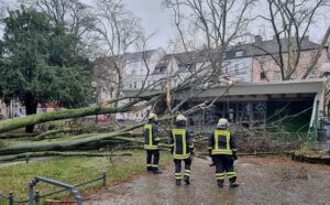 Der umgestürzte Baum am Nordmarkt begrub den „Grünen Salon“ unter sich. Das Café bleibt vorerst geschlossen bis ein Statiker die möglichen Schäden am Dach begutachtet hat.