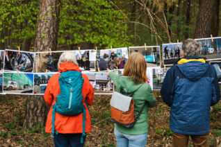 Bittermark22 Kwickern-3