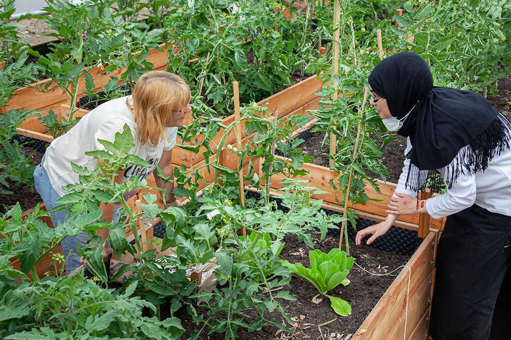 In Hörde wird sich die Gärtnerei „Grünfrau“ am Samstag erstmals der Öffentlichkeit vorstellen. Viele Dortmunder:innen kennen dieses Projekt unter dem Arbeitstitel „Querbeet sozial“.