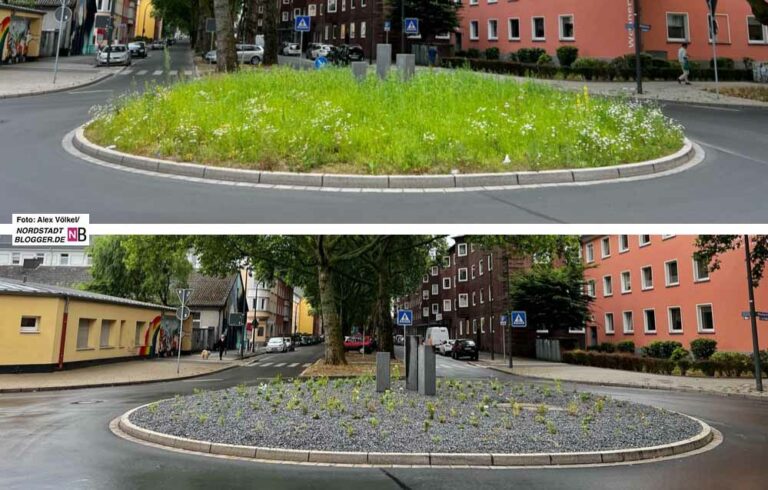 Skurriler Kreisverkehr Ist das ein des Grauens“ oder doch
