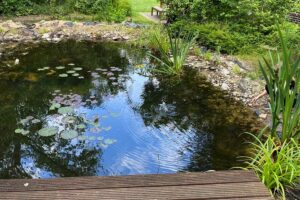 Der Teich wurde von vielen helfenden Händen saniert. 