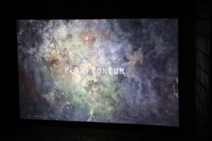 Jan van IJken und Jana Winderen zeigen ihren Kurzfilm „Planktonium“ und machen für uns Unsichtbares sichtbar und Unhörbares hörbar.