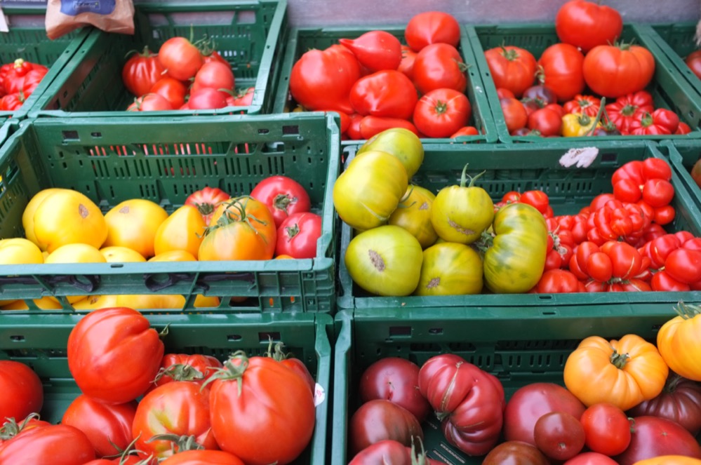 Rund 100 historische Tomatensorten reifen in den Werkhof-Gewächshäusern in Grevel.