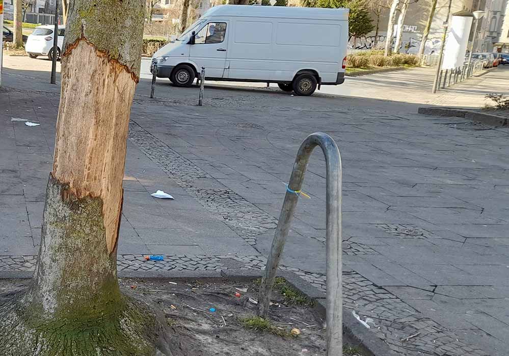 An acht Bäumen wie hier in der Schleswiger Straße wurde die Rinde abgeschält. Es ist davon auszugehen, dass die Bäume diese Vandalismusschäden nicht überleben werden.
