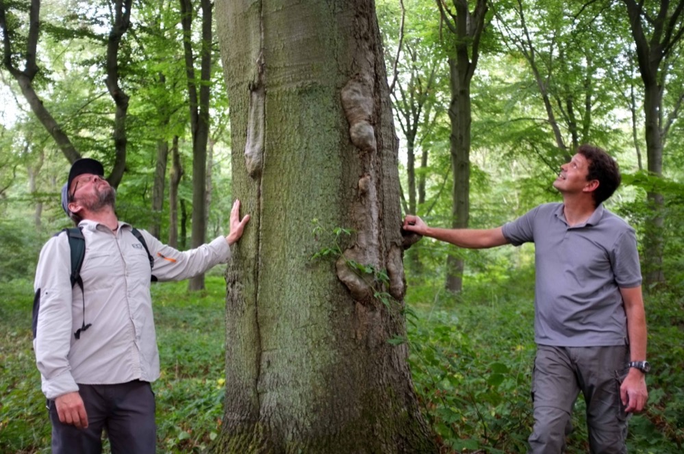 Uwe und Mario Friedrich (r.) erklären das Zusammenleben von Bäumen und Tieren im Wald.