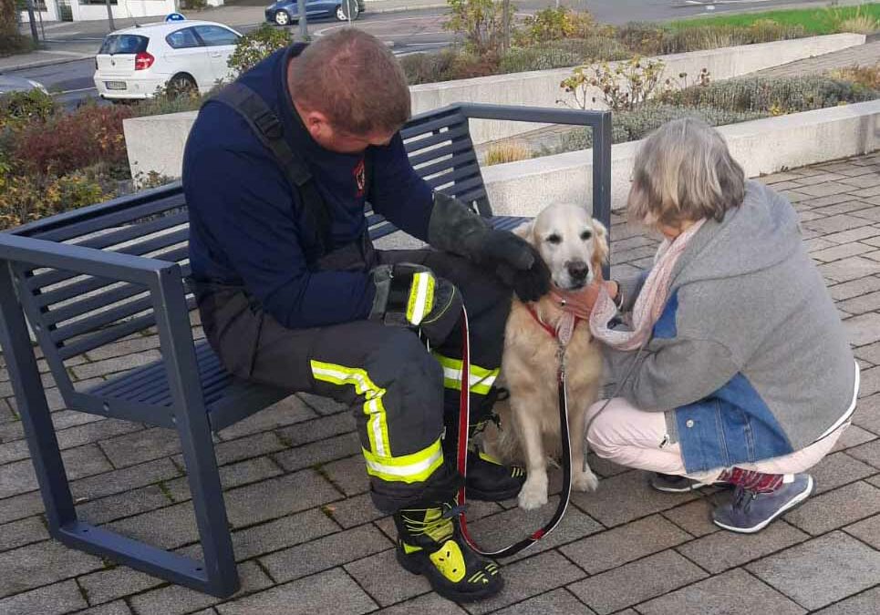 Nach seiner Befreiung brauchte der Golden Retriever erst einmal ein paar Streicheleinheiten.