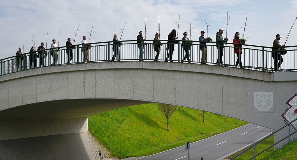 Mit Bäumen auf Wanderschaft: Über eine Brücke brachten die Umzugshelfenden die noch jungen Pflanzen auf die andere Seite der Dorstfelder Allee.