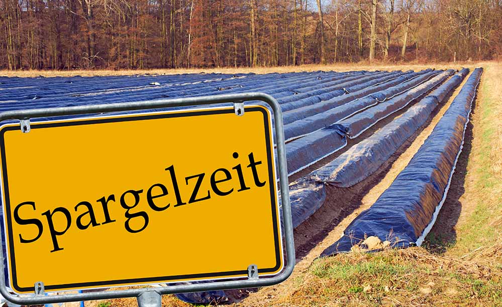 Forderung der IG BAU: „Erntehelfer, die nur kurzfristig in heimischen Landwirtschaftsbetrieben beschäftigt sind, müssen bei Krankheit voll abgesichert sein.“