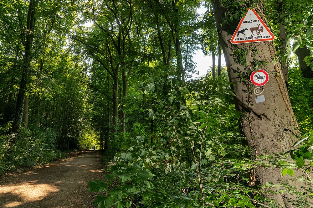 Im Grävingholz weisen Schilder auf die Anleinpflicht zum Schutze des Wildes hin.