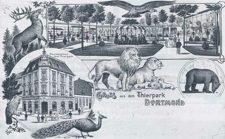 Eine Postkarte erinnert an die „Restauration zum Thierpark“ in der Nordstadt.