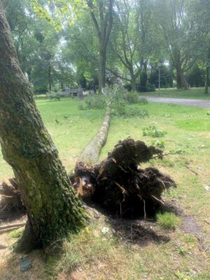 E wird dauern, bis alle Sturmschäden in Parks und Wäldern beseitigt sind. 