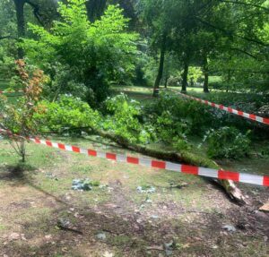 E wird dauern, bis alle Sturmschäden in Parks und Wäldern beseitigt sind.