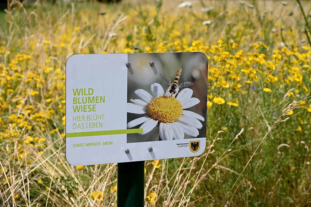 Schild zur Information über Blühwiesen.