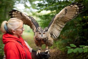 Im Naturmuseum am Fredenbaum giibt es ein Meet & Greet mit Eulen und Spinnen zum Anfassen.