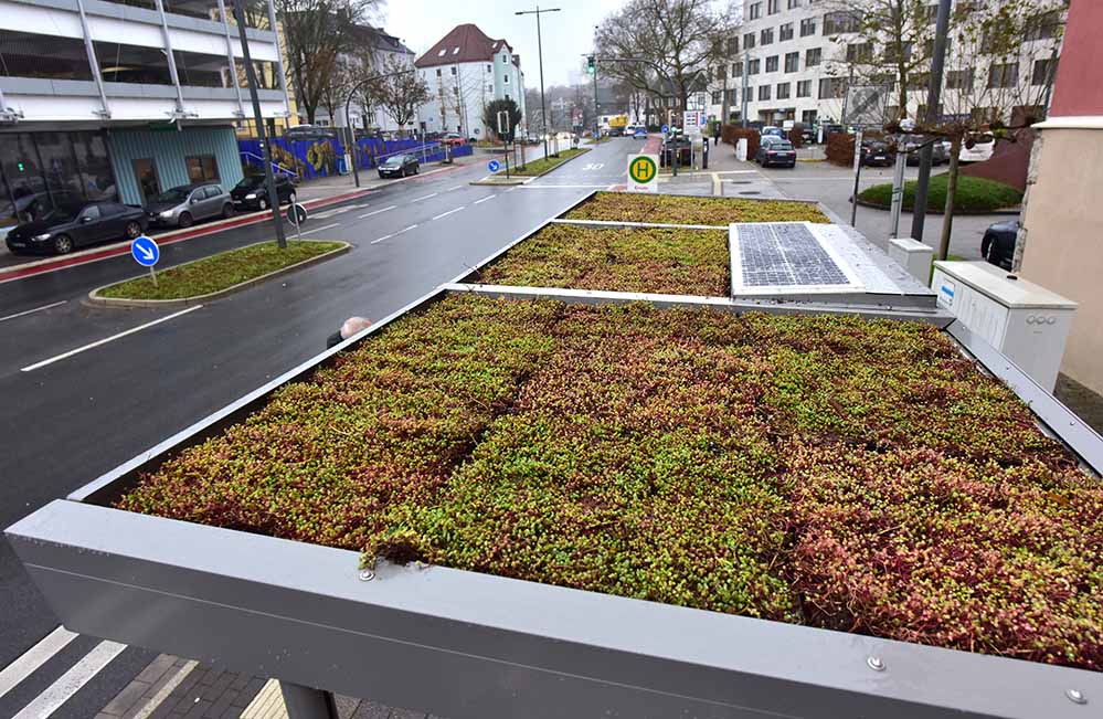 Das an der Haltestelle Hörder Burg aufgestellte neue Buswartehäuschen gehört zu den ersten zehn mit Dachbegrünung und PV-Anlage.