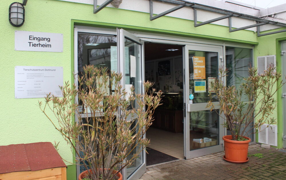 Eingangsbereich des Tierheims